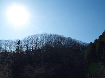 横沢入−冬景色