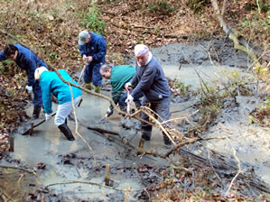 土砂の堆積した既設のカエル池を浚渫するメンバー